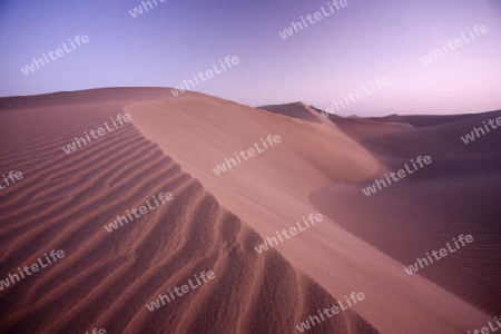 the Sanddunes at the Playa des Ingles in town of Maspalomas on the Canary Island of Spain in the Atlantic ocean.