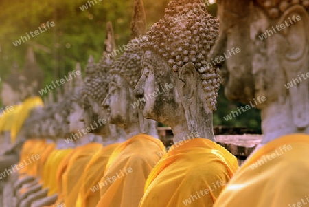 The Wat Yai Chai Mongkol Temple in City of Ayutthaya in the north of Bangkok in Thailand, Southeastasia.