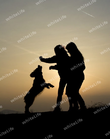 Spass mit dem Hund - Silhouette