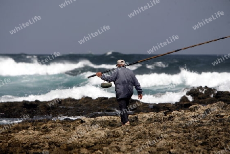 the coast of  Los Lagos on the Island Fuerteventura on the Canary island of Spain in the Atlantic Ocean.