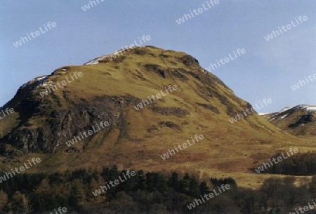 Dumgoyne