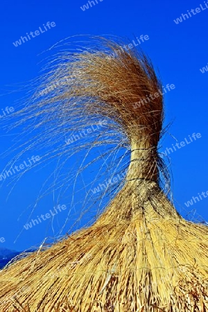 Umbrella made &#8203;&#8203;of straw - Sonnenschirm aus Stroh