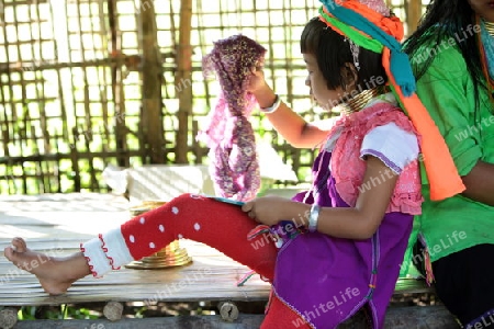 Eine Traditionell gekleidete Langhals Frau eines Paudang Stammes aus Burma lebt in einem Dorf noerdlich von Chiang Mai in Nord Thailand