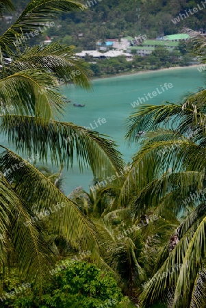 The view from the Viewpoint on the Town of Ko PhiPhi on Ko Phi Phi Island outside of the City of Krabi on the Andaman Sea in the south of Thailand. 