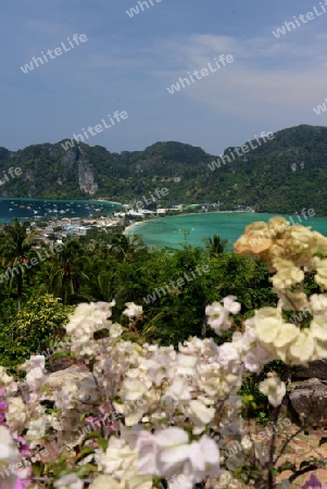 The view from the Viewpoint on the Town of Ko PhiPhi on Ko Phi Phi Island outside of the City of Krabi on the Andaman Sea in the south of Thailand. 