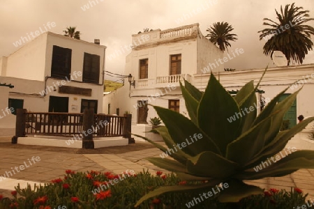 the village of Haria on the Island of Lanzarote on the Canary Islands of Spain in the Atlantic Ocean. on the Island of Lanzarote on the Canary Islands of Spain in the Atlantic Ocean.