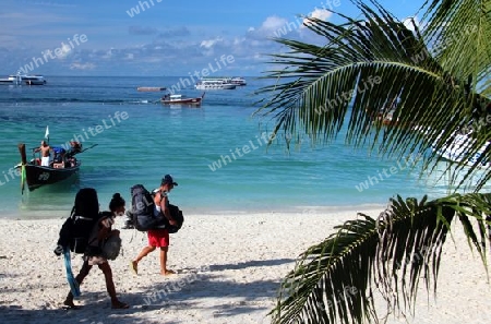 Koh Lipe > Pattaya - Beach