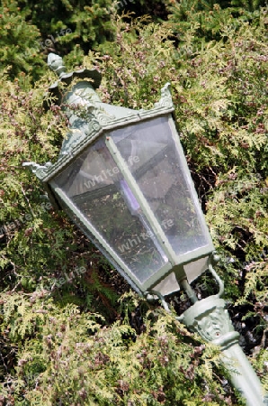 Alte Laterne schraeg vor einem Baum