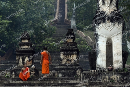 Der untere Teil des Tempel Wat Phra That Doi Kong Mu ueber dem Dorf Mae Hong Son im norden von Thailand in Suedostasien.