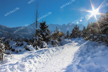 Winterlicher Wanderweg