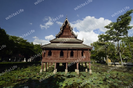 Der Tempel Wat Thung Si Meuang in der Stadt Ubon Ratchathani im nordosten von Thailand in Suedostasien.