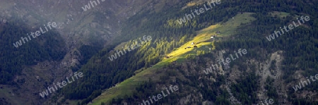 Lichtstarhl auf Alp