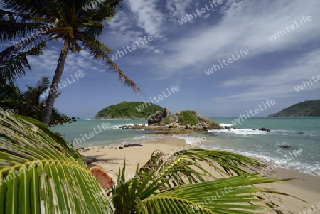 Ein Strand in Hat Nai Harn im sueden der Insel Phuket im sueden von Thailand in Suedostasien.