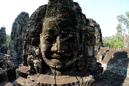 Stone Faces the Tempel Ruin of Angkor Thom in the Temple City of Angkor near the City of Siem Riep in the west of Cambodia.