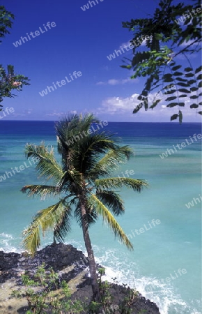 the landscape on the coast of the village Moya on the Island of Anjouan on the Comoros Ilands in the Indian Ocean in Africa.   