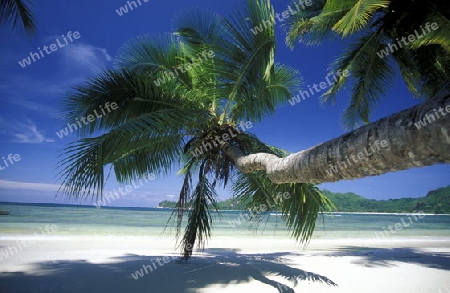 Ein Traumstrand auf der Insel Praslin auf den Seychellen im Indischen Ozean.