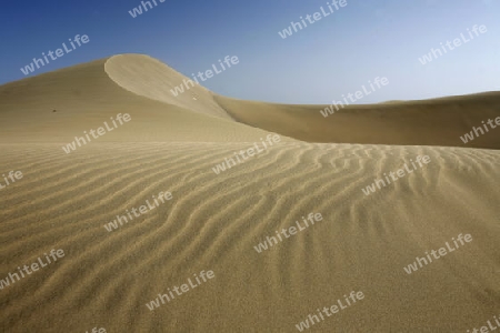 the Sanddunes at the Playa des Ingles in town of Maspalomas on the Canary Island of Spain in the Atlantic ocean.