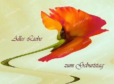 Alles Liebe